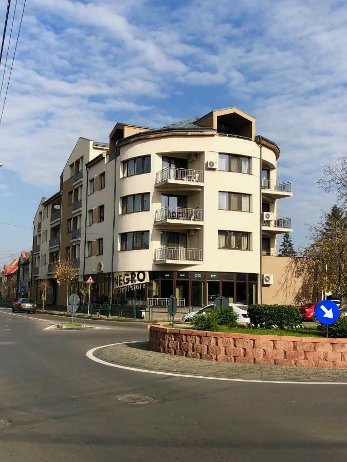 Central Apartments Târgu-Mureş Екстериор снимка